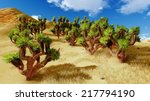 joshua trees in usa national...