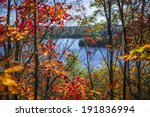 fall forest framing scenic...