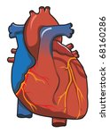 Human Heart System With Isolated White Background - stock vector