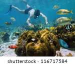 Snorkeler looking a starfish in a coral reef with colorful tropical fish around him - stock photo