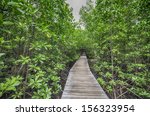 wood boardwalks mangrove forest