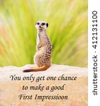 Small photo of A concept picture of a meerkat warning of the importance of making a good first impression