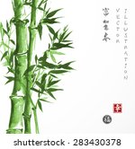 green bamboo hand drawn in...