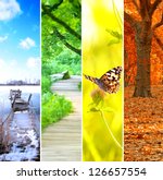 The Four Seasons Free Stock Photo - Public Domain Pictures