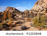 hidden valley rock joshua tree...