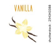 Vanilla Plant Illustration Clipart Free Stock Photo - Public Domain