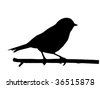 Modern Bird Silhouette