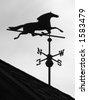 Horse Wind Vane