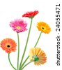 Gerber+daisies+clip+art