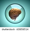 Brain In Glass