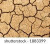 stock photo : Dry river bed