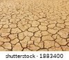 stock photo : Dry river bed