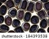 decorative and festive chocolate candy in the tray