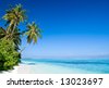 صور شواطىء وبحار  Stock-photo-tropical-beach-with-coconut-palm-trees-13023697