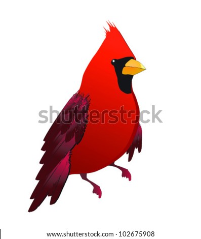 Cardinal bird cartoon Stock Photos, Images, & Pictures | Shutterstock