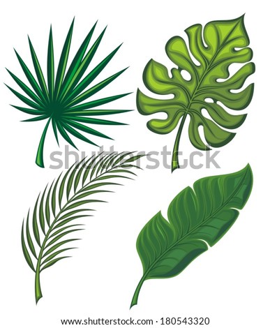 Tropical Leaves Isolated Stock Photos, Images, & Pictures | Shutterstock