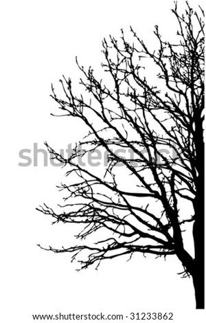 Vector Silhouette Crooked Pine Wood Stock Vector 18112060 - Shutterstock