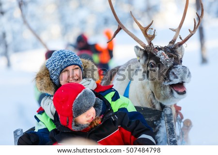 Reindeer Stock Images, Royalty-Free Images & Vectors | Shutterstock