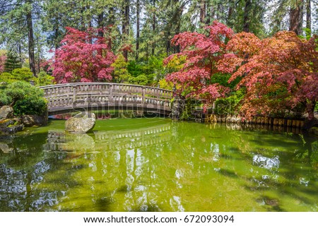 Japanese Garden Scenic Stone Zen Stock Images Royalty Free Images