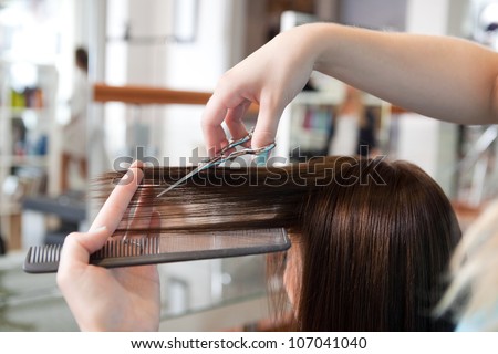 Hairdresser cutting client's hair in beauty salon.