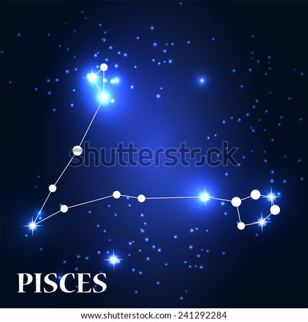 Symbol: Pisces Zodiac Sign. Vector Illustration. EPS10 - stock vector