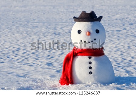 cute snowman on snowy field