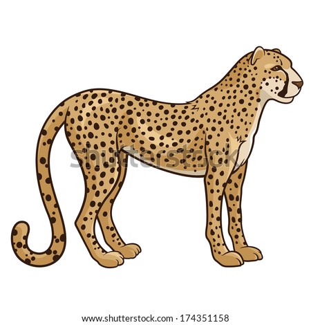 Cartoon cheetah Stock Photos, Images, & Pictures | Shutterstock