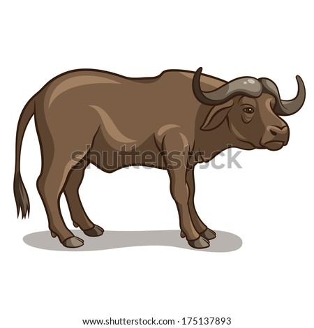 Buffalo Cartoon Stock Images, Royalty-Free Images & Vectors | Shutterstock