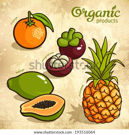 Vector set of exotic fruits: pineapple, orange, mangosteen, papaya
