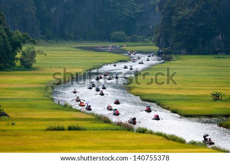Rice field and river, NinhBinh, vietnam landscapes