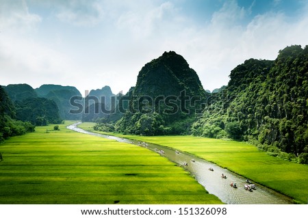 Rice field and river, Ninh Binh, vietnam landscapes