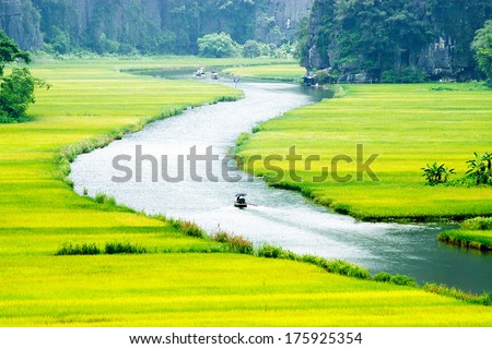 Rice field and river, NinhBinh, vietnam landscapes