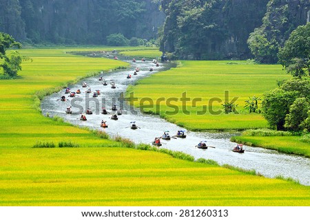 Rice field and river, NinhBinh, vietnam landscapes