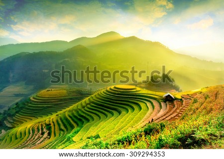 Rice fields on terraced of Mu Cang Chai, YenBai, Vietnam. Vietnam landscapes.