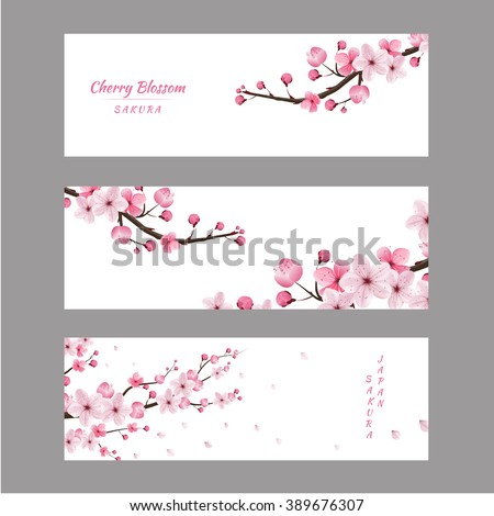 cherry blossom realistic vector, sakura, japan, blur background