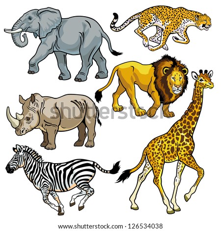 set with africa animals,beasts of savanna,pictures isolated on white background,vector illustration