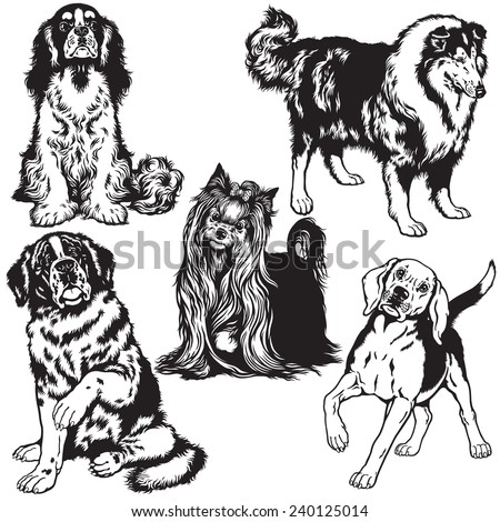 Dog Pekingese Doodle Illustration Page Adult Stock Vector 622692803