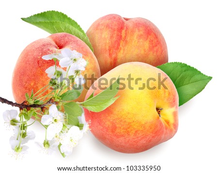 Heap of fresh orange peaches with green leaf and flowers. Placed on white background. Close-up. Studio photography.