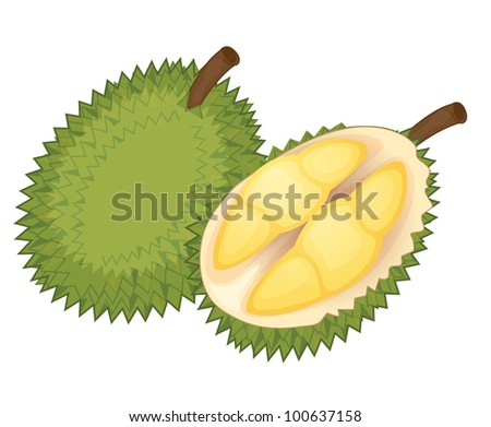 Illustration of friut on a white background - EPS VECTOR format also available in my portfolio.