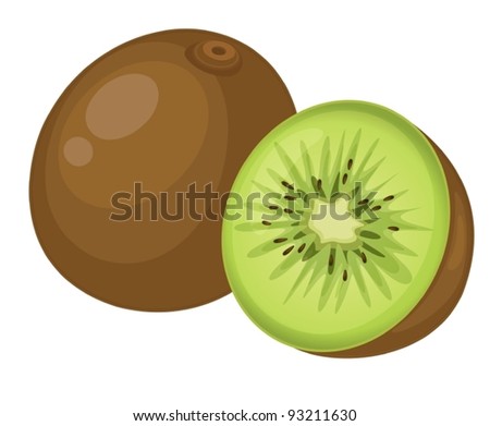 Fruit illustration on white background