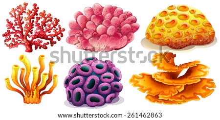 Six different type of colorful coral reef