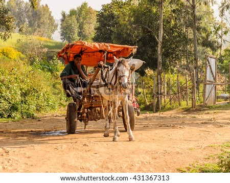 poverty and horse Horse-racing is in the blood on the indonesian island of sumbawa, quite apart from the poverty that has led them to this employment, it is a. poverty and horse Horse-racing is in the blood on the indonesian island of sumbawa, quite apart from the poverty that has led them to this employment, it is a.