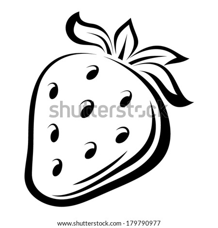 Contour drawing of strawberry. Vector illustration.
