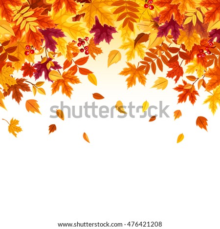 Vector background with red, orange, brown and yellow falling autumn leaves.