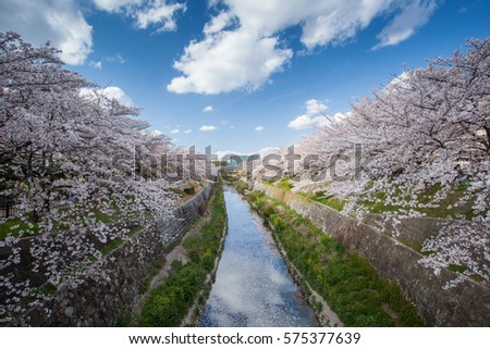 cannel