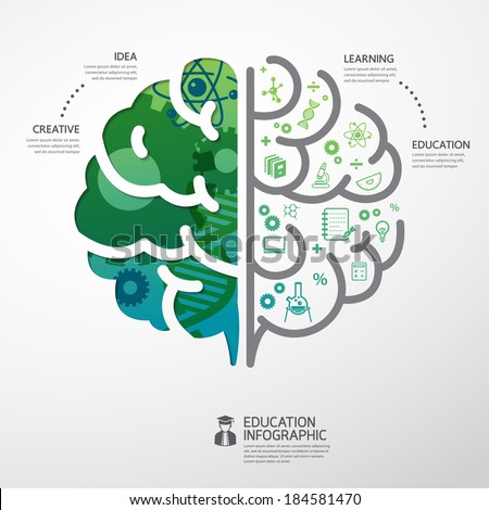 Infographic Ideas infographic template education : Infographic Template Brain Education Science Concept Stock Vector ...