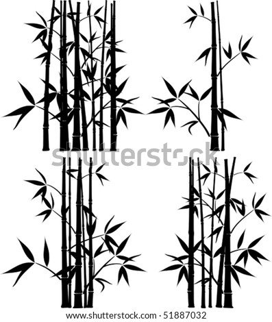Bamboo, vector illustration