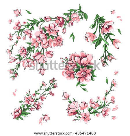 The set of branches and flowers sakura on a white background.