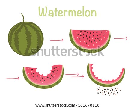 Watermelon. Appetizing natural fruit. Vector isolated food. Healthy vegetarian snack or dessert.