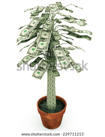 Money Doesn`T Grow On Trees